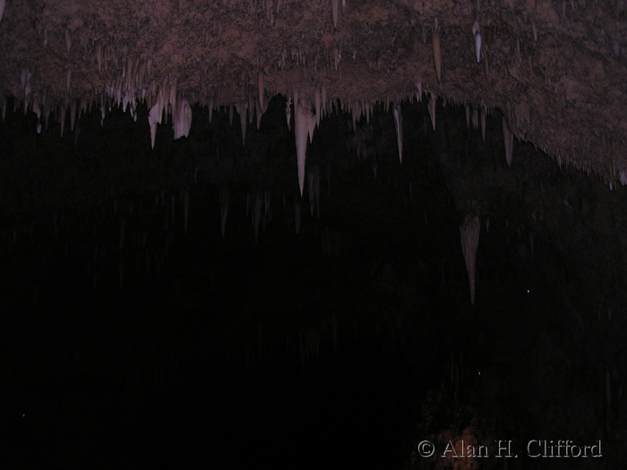 Harrison&rsquo;s Cave.