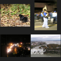 Canada and USA, October