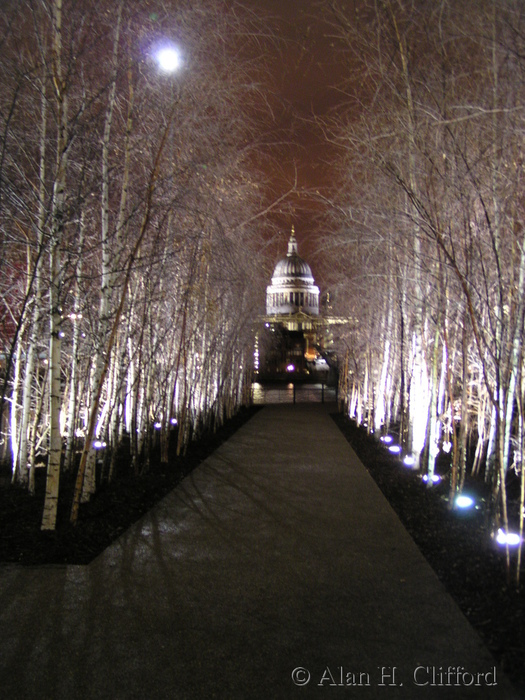 St. Paul&rsquo;s Cathedral seen from outside the Tate Modern