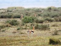 They haven&rsquo;t seen me yet