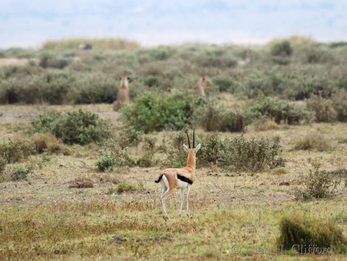 They haven&rsquo;t seen me yet