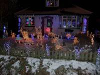 The garden at Ferret&rsquo;s End