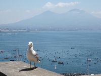 Vesuvius viewed from Castel dell&rsquo;Ovo
