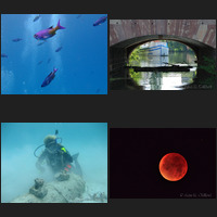 A selection of Alan Clifford&rsquo;s photographs